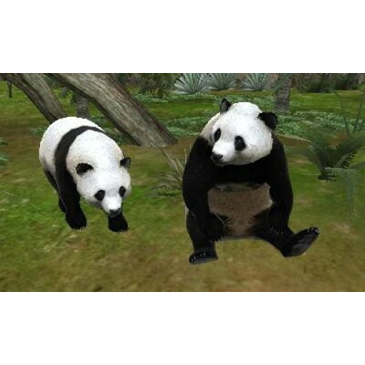 楽天市場 マーベラス アニマルリゾート 動物園をつくろう 3ds Ctrpanmj A 全年齢対象 価格比較 商品価格ナビ 楽天市場 マーベラス アニマルリゾート 動物園をつくろう 3ds Ctrpanmj A 全年齢対象 価格比較 商品価格ナビ